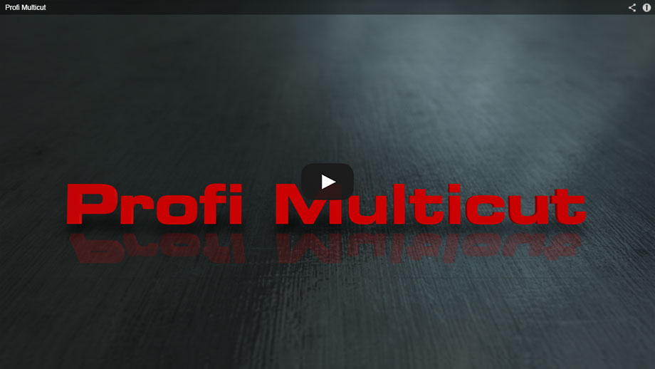 MECHA PROFI MULTICUT SDS PLUS 8X210MM 1035 ALPEN